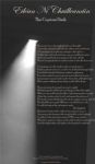 The Copious Dark by Eilean Ni Chuilleanain